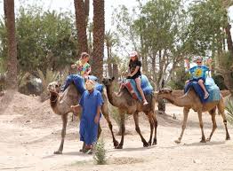 The price starts from 25.00 € (per person). Half Day Trip Camel Ride And Quad Bike Activities In Marrakech 2021 Happytovisit Com
