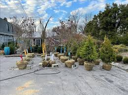 Aug 31, 2021 · 350 corvette drive, bowling green, ky, 42101, phone: Hillview Garden Floral Bowling Green Ky