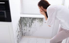 From smelling something odd to feeling sick, there are a number of different signs that can indicate that you might have mold in your house. Help My New Home Has Mold Closing Contractor