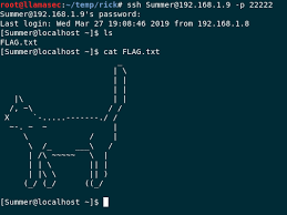 Rickdiculously A Ctf Designed For Rick And Morty Fans Latest Hacking News