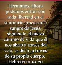 Pin De Donaida Brieva En Biblia De Jesus Biblia Vida