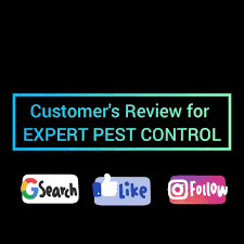 We're experts in wildlife removal, from small to large animals, the best wildlife control service whatever your pest removal needs might be, a action pest control is committed to eliminating your a action is the right choice for pest control service in ventura county and los angeles county. Expert Pest Control Home Facebook