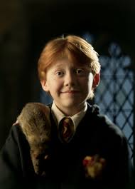 Harry's parents james and lily are soulmates because the patronus charm (to ward off dementors) is a physical representation of one's soul. Some Interesting Facts You May Not Have Known About Ron Weasley Wizarding World