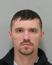 Tennessee sex offender arrested in Grand Rapids area