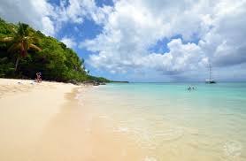 Anse Canot Marie Galante Plage Guadeloupe Beau Paysage Belle Plage