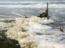 Image result