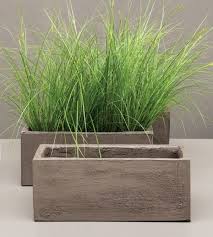 Beton Pflanzen Kubel Ziergraser Garten Terrasse Balkon Deko In 2020 Ziergras Bepflanzung Pflanzen