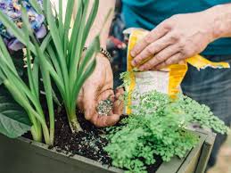 How to fertilize garden soil. Feed Your Garden Types Of Fertilizer Hgtv