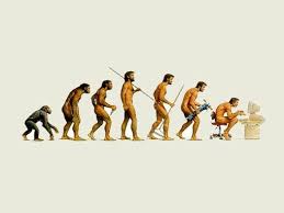 The Evolution Of Man Evolution Human Evolution Theory