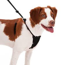 Juxzh Soft Front Range Dog Harness 3m Reflective No Pull