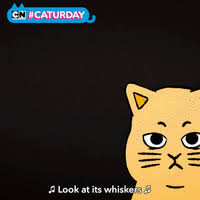 Everyone knows cats rule the internet. Caturday Know Your Meme