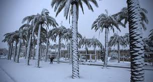 La tempête filomena paralyse le pays qui doit faire face aux plus grosses chutes de neige depuis 50 ans. Jusqu A 15 Degres En Espagne Un Fait Rarissime Sputnik France