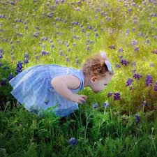 Ste 2000, plano, tx 75093. Where Are The Best Places To Find Bluebonnets Nearby
