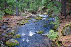 Check spelling or type a new query. Tamanawas Falls Loop Hike Hiking In Portland Oregon And Washington