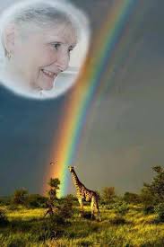 Dearest Sweet Angel. This has always been One of my favorite pictures of  you. You are always in my thoughts but especially tomorrow. 💜💜💜💜💜💜