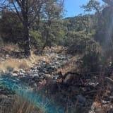 Cave Creek Canyon Trail #149, Arizona