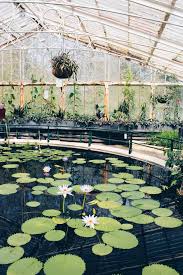 10 Must See Attractions At Kew Gardens In London The Wanderblogger Kew Gardens London Kew Gardens London Garden