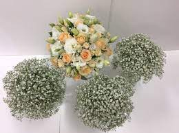 Purple wedding bouquet at montalvo arts center in saratoga, california. Wedding Cream And Apricot Bridal Bouquet And Gyp Posies Flower Wholesalers Takapuna