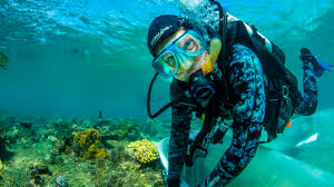 You'll visit 2 different locations on the barrier reef for the chance to see tropical marine life in the. Australian First Reef Restoration Hub For Cairns Port Douglas Great Barrier Reef Foundation