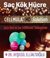 Cellmula Hd Sac Kok Hucre Teda Deri Mineraller Vitamin