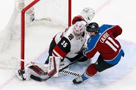 They are members of the pacific division of the western conference of the national hockey league (nhl). Nhl West Division Preview Arizona Coyotes Mile High Hockey