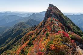 石鎚山とは | 登山情報 | 石鎚神社頂上山荘