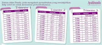Perkembangan bayi di dalam kandungan sudah semakin baik. Normalkah Jika Usia Kandungan 7 Minggu Ukuranx 1 50 Cm Tanya Alodokter