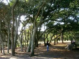 Most homes for sale in seagate village stay on the market for 38 days. Seagate Village Homes For Sale