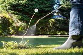 Aside from the initial cost to purchase a lawn mower, the only other expenses include buying gas ready to research the best pros in your area? How Much Does Lawn Treatment Service Cost In 2021 Checkatrade
