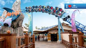 San diego background for zoom. Virtual Conferencing Backgrounds Seaworld San Diego
