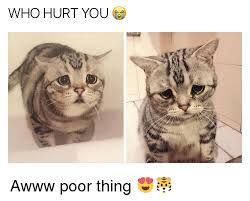 Who Hurt You Awww Poor Thing Meme On Me Me