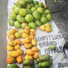 What are your top 5 mango variety for whatever reason. Mangoes Facts Figures Kitchen Butterfly
