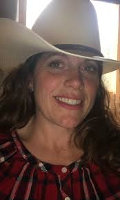 How to halter break an unhandled horse and evaluate its training?