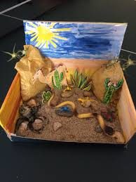 Desert Biome In A Box Desert Habitat Diorama I Made It For My Son S 1st Grade Project Used Shoe Box Paper Glue Markers Wate Desert Crafts Habitats Projects Ecosystems Projects