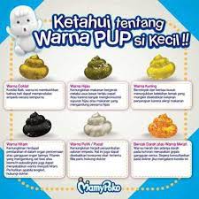 Pada usia beberapa hari kelahirannya, bayi sudahpun mula membuang najis yang digelar meconium yang berwarna hijau gelap atau kehitaman. Ketahui Tentang 4 Warna Pup Si Kecil Dan Kaitannya Dengan Kesehatan Resep Mpasi Bayi