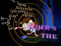 Send me messages for answers,friend requests, fans, или any information ты need. Best Pinky And The Brain Gifs Gfycat