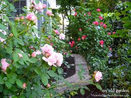 Fast delivery of a huge range of all occasion flowers, to suit all tastes and budget. My Favorite Flowers For Cutting Planning A Cottage Garden That Blooms All Summer Victoria Elizabeth Barnes