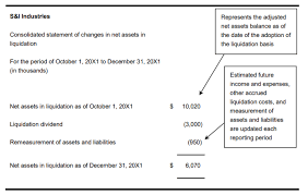 6 6 Financial Reporting Liquidation Basis Of Accounting