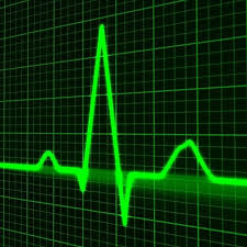 Lauftraining Nach Herzfrequenz Personal Training Andrea Von Horn