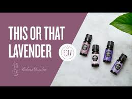 This Or That Lavender French Lavender Greek Lavender And