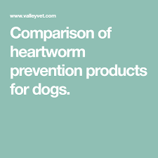 Comparison Of Heartworm Prevention Products For Dogs Dog
