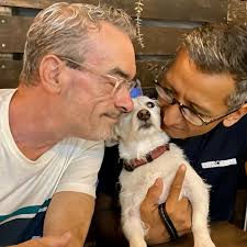 Meet Barley! Barley entered Orange County Animal Care as a stray. When he  wasn't claimed, we scooped him up to become a Frosted Face