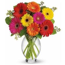 Decoraciones de flores para iglesias. Gerberas Florero Incluido A United States Floreria De United States