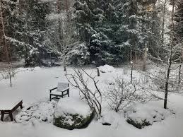 The view from my window