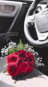 ورد احمر clip art vintage clip art photography poses