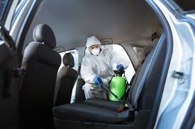 The first step would be to vacuum the car very well. How To Get Rid Of Ants In Your Car And Prevent Them From Returning