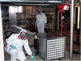 It's easy to arrange for a thorough mold inspection or to inquire about other services such as hoarding cleanup and prompt home or workplace restoration after flood damage. Mold Removal Mold Remediation Wall Lawrenceville Hawthorne Belmar Lambertville Manasquan Nj
