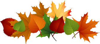 Maybe you would like to learn more about one of these? Pile Of Leaves Drawing At Getdrawings Fall Leaves Transparent Background Clipart Full Size Clipart 1008 Pinclipart