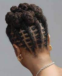 Pin By 50andplanning Cyndi On Get Your Hair Did Dreadlock Hairstyles Natural Hair Styles Locs Hairstyles