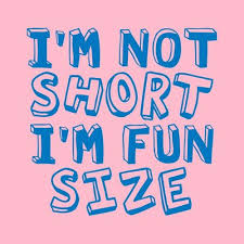 Im Not Short Im Fun Size T Shirt Short Funny Quotes Super Funny Quotes Funny Quotes